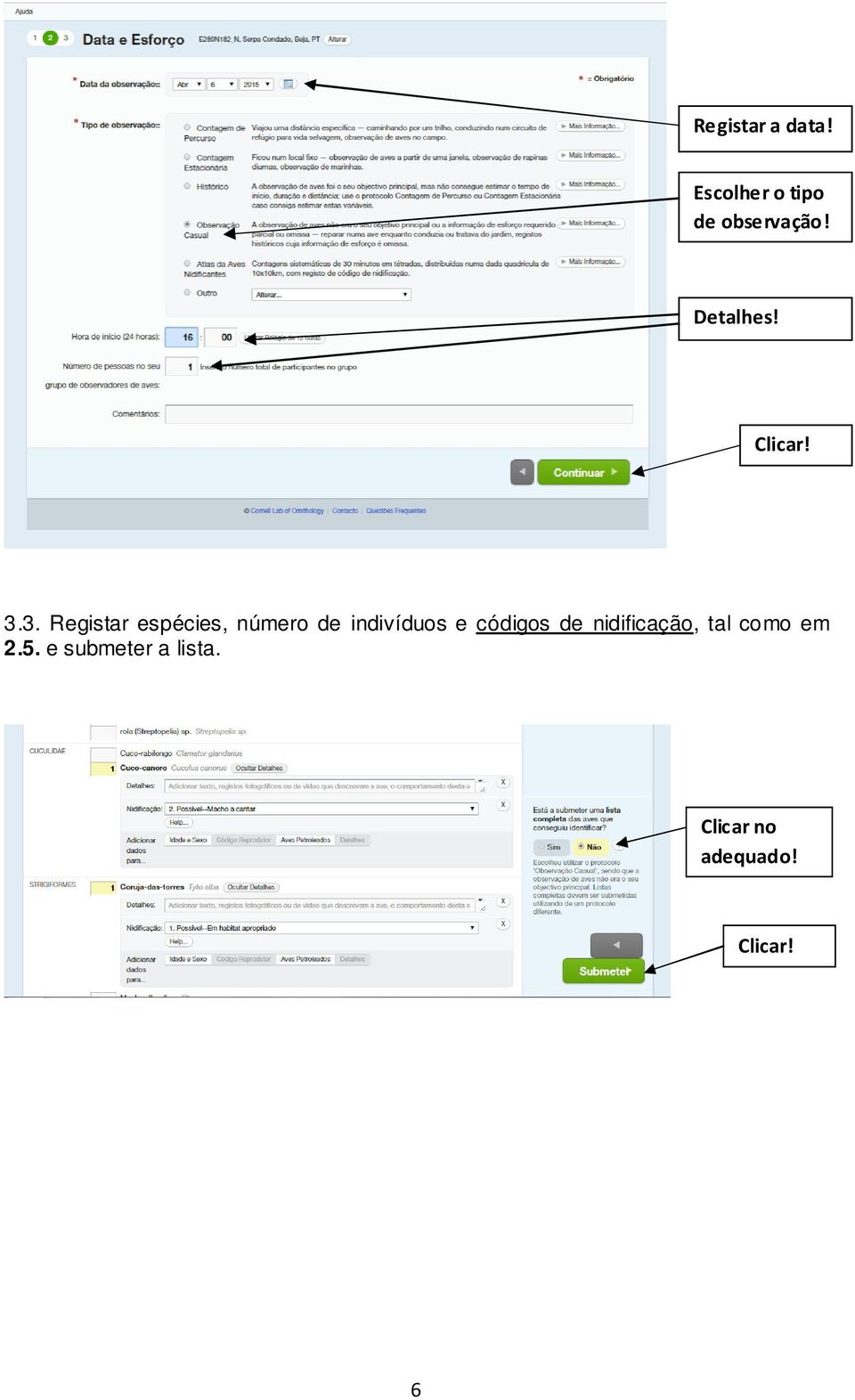 3. Registar espécies, número de indivíduos e