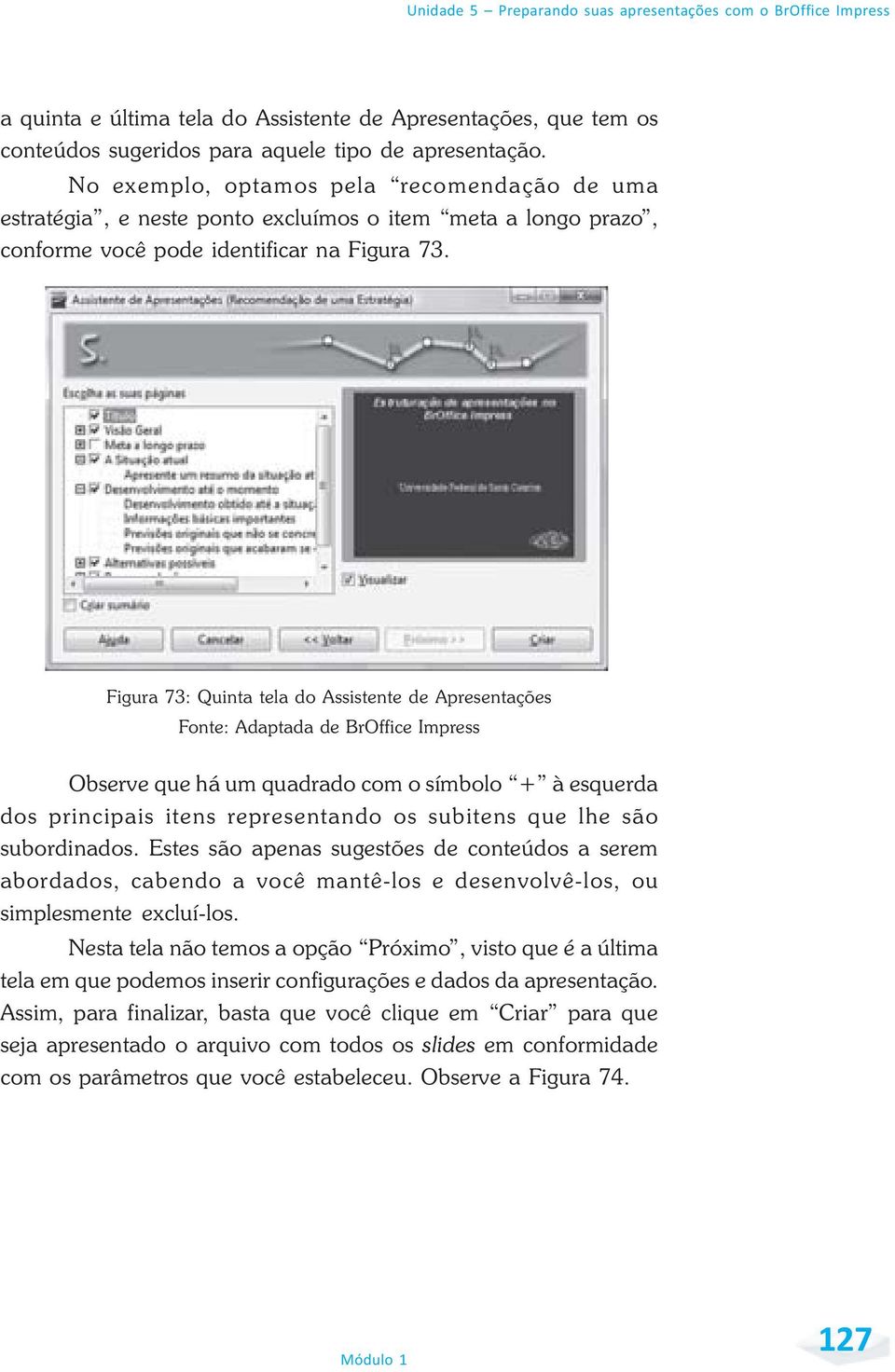 Figura 73: Quinta tela do Assistente de Apresentações Observe que há um quadrado com o símbolo + à esquerda dos principais itens representando os subitens que lhe são subordinados.