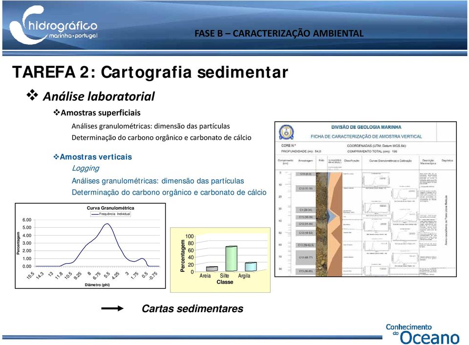 Determinação do carbono orgânico e carbonato de cálcio Curva Granulométrica 600 6.00 Frequência Individual 5.00 Percentagem 4.00 3.00 2.00 1.00 0.