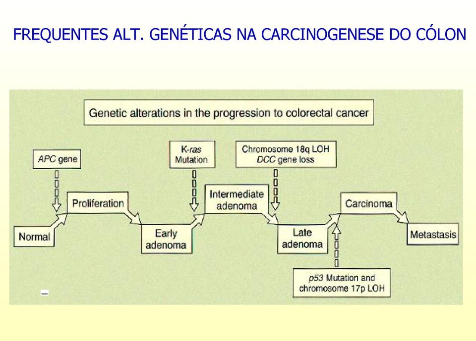 GENÉTICAS NA