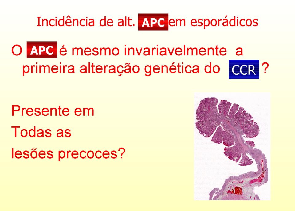 invariavelmente a primeira