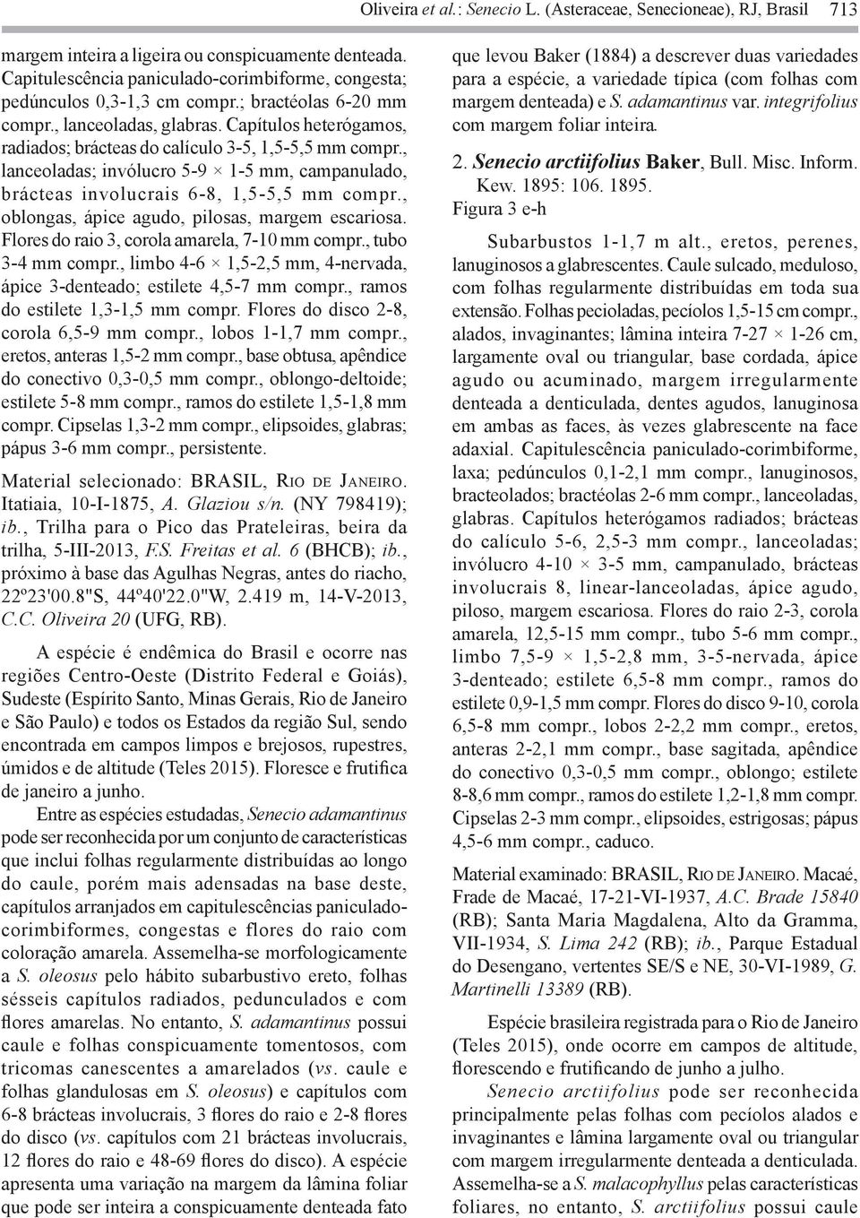 Capítulos heterógamos, radiados; brácteas do calículo 3-5, 1,5-5,5 mm compr., lanceoladas; invólucro 5-9 1-5 mm, campanulado, brácteas involucrais 6-8, 1,5-5,5 mm compr.