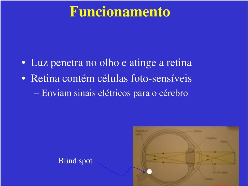 células foto-sensíveis Enviam