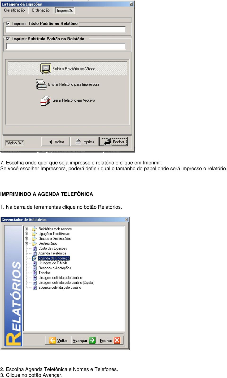 impresso o relatório. IMPRIMINDO A AGENDA TELEFÔNICA 1.