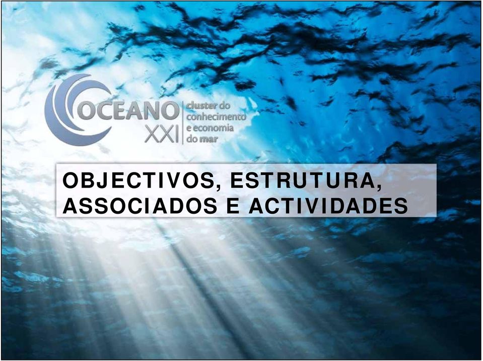 ACTIVIDADES Promotor IDCEM Instituto para o