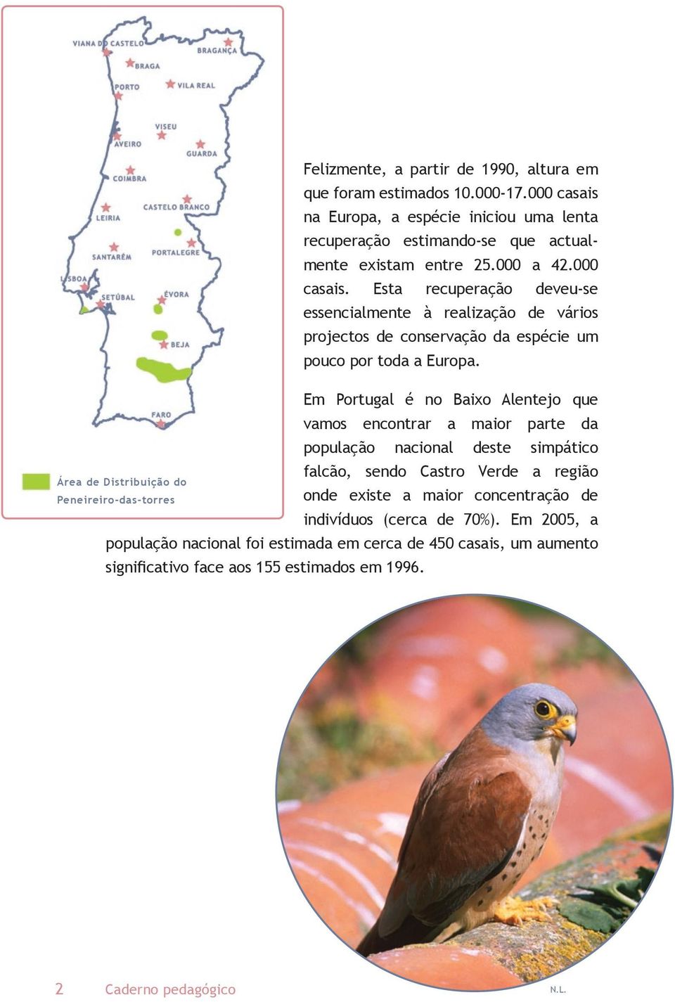 Em Portugal é no Baixo Alentejo que vamos encontrar a maior parte da população nacional deste simpático falcão, sendo Castro Verde a região onde existe a maior concentração de
