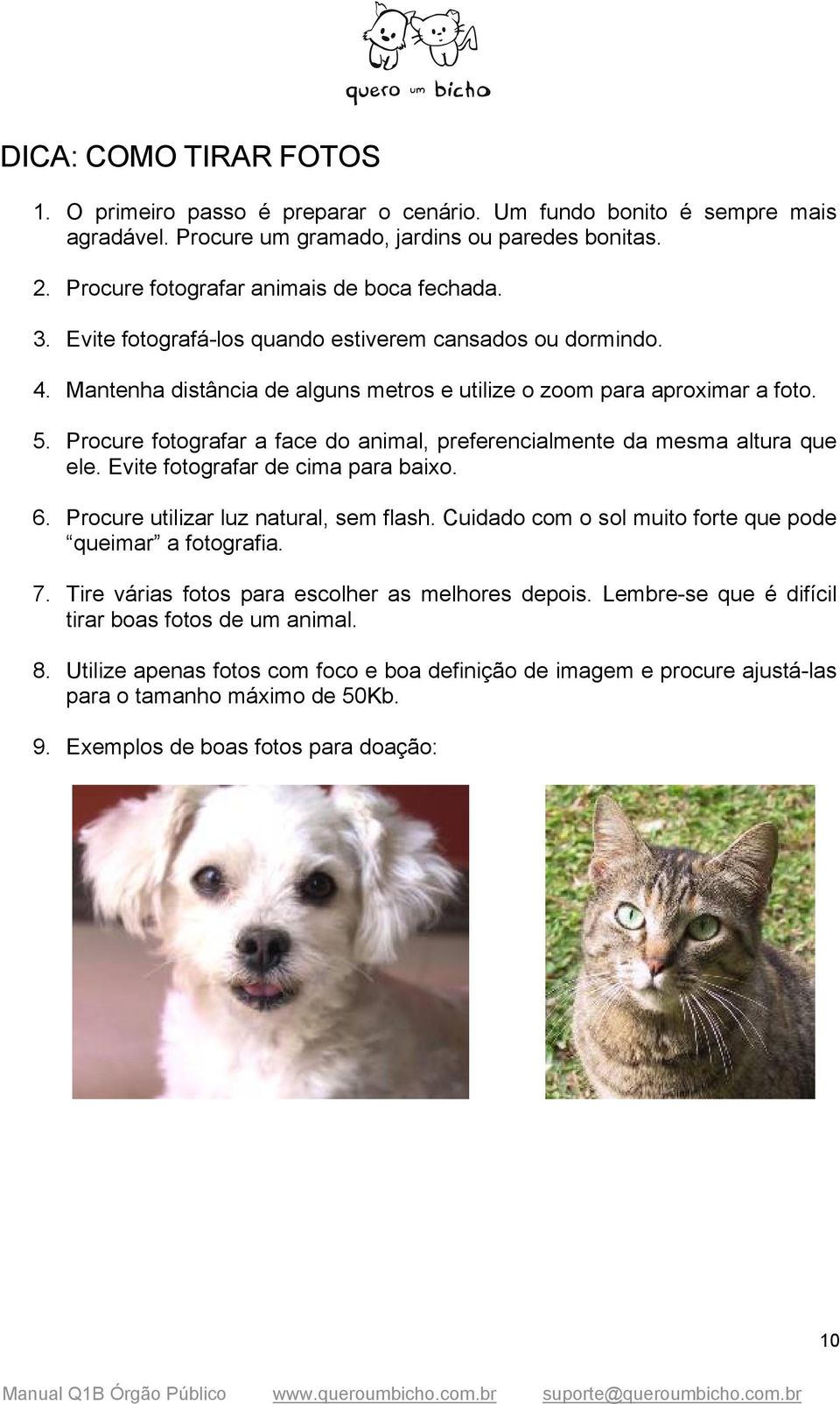 Procure fotografar a face do animal, preferencialmente da mesma altura que ele. Evite fotografar de cima para baixo. 6. Procure utilizar luz natural, sem flash.