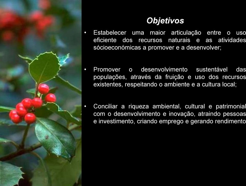 fruição e uso dos recursos existentes, respeitando o ambiente e a cultura local; Conciliar a riqueza ambiental,