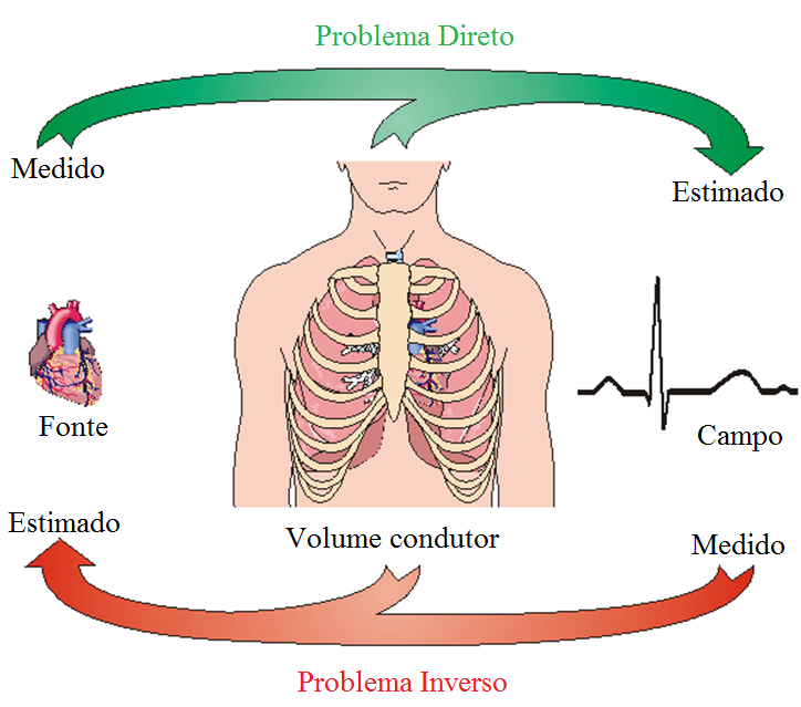 Capítulo 2. Fundamentos do Biomagnetismo 56 Figura 7- Comparativo entre as densidades de fluxo magnético dos campos biomagnéticos e as produzidas por fontes de ruído ambiental.