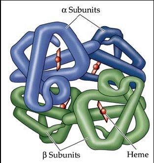 Exemplos de Proteínas