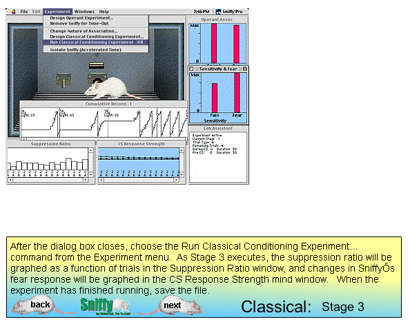 Após fechar a caixa de diálogo Classical Conditioning Experiment Design, escolha Run Classical Conditioning Experiment do comando do menu Experiment menu.