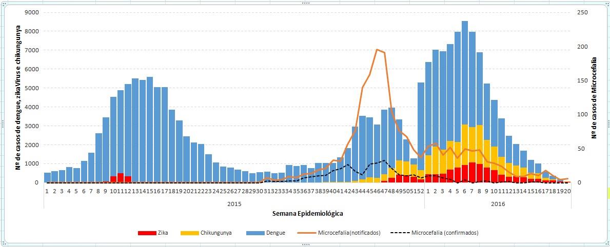 Figura 5 Distribuição dos casos notificados de dengue, vírus Zika e chikungunya por data do início dos sintomas e de microcefalia (notificados e confirmados) por mês de nascimento.