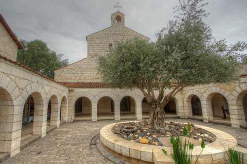 Pegadas da nossa fé 1 Tabgha: Igreja da Multiplicação Na Terra Santa, dá-se o nome de Tabgha a um lugar a uns três quilómetros a oeste de Cafarnaum, que se estende desde a margem do lago de Genesaré