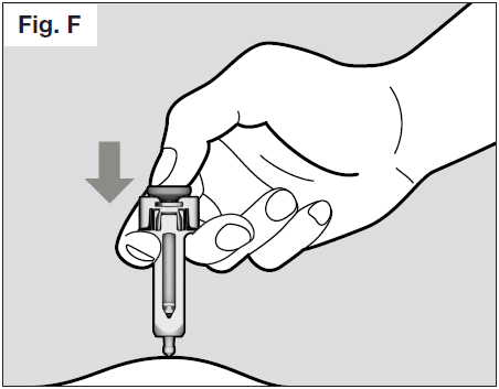 Então mantenha a seringa na posição e solte a prega de pele. Injete lentamente todo o medicamento empurrando suavemente o êmbolo até o fim (ver Fig. F).