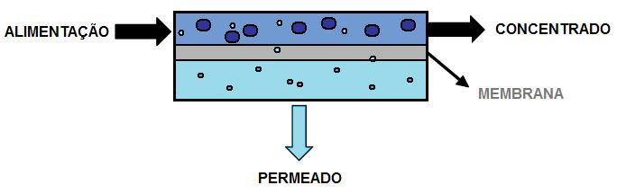 2.2.1 Processos de separação por membranas Observando o comportamento de membranas biológicas, sua alta seletividade, especificidade e baixo consumo de energia, passou a existir um indício de que um