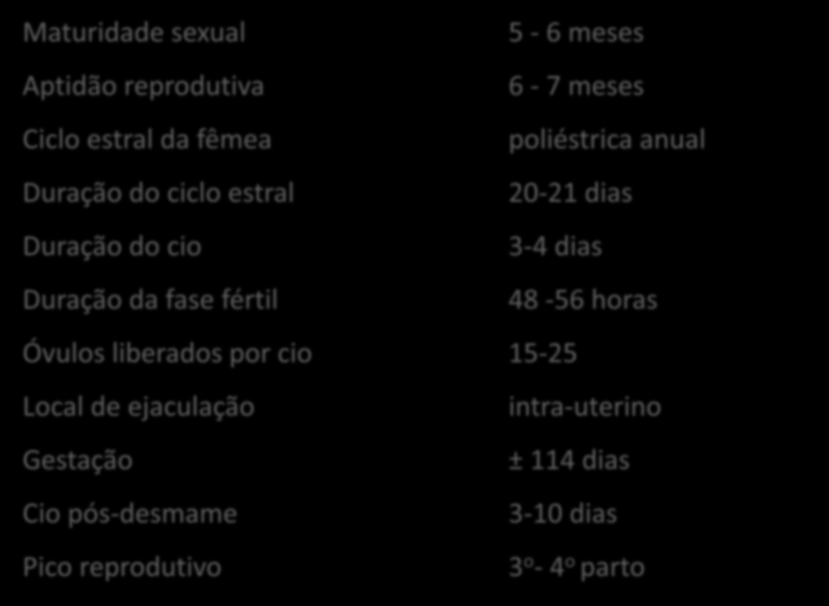 Dados importantes sobre a reprodução dos suínos Maturidade sexual 5-6 meses Aptidão reprodutiva 6-7 meses Ciclo estral da fêmea poliéstrica anual Duração do ciclo estral 20-21 dias Duração do