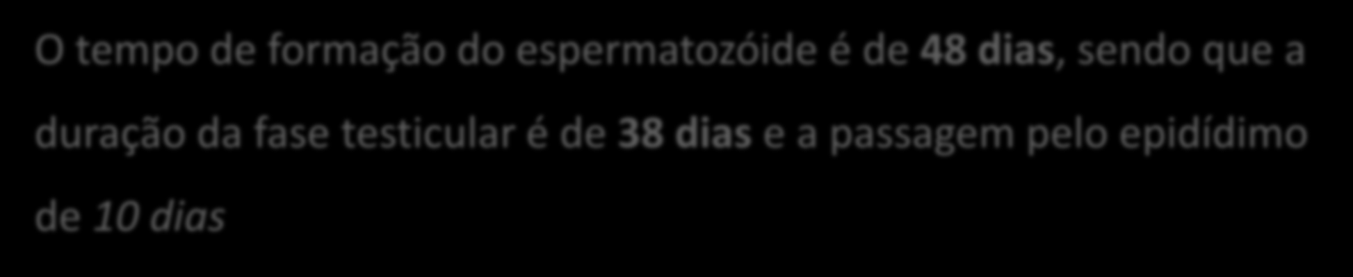 ESPERMATOZÓIDE DO SUÍNO O tempo de formação do espermatozóide é de 48 dias, sendo que a duração da fase testicular é de 38 dias e a passagem pelo epidídimo de 10 dias Sobrevivência do