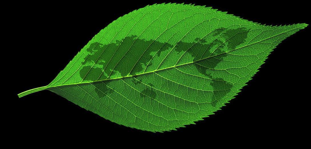 Sustentabilidade O mundo busca a Sustentabilidade A concentração de CO 2