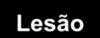 Trauma renal TC (Federle) Categoria Tipo Lesão I II III Lesão menor Lesão maior Lesão catastrófica Contusão, hematoma subcapsular, laceração menor sem extensão para o sistema coletor,