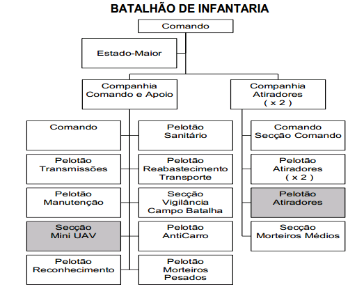 Capítulo 2 Revisão de Literatura Figura 7- Batalhão de Infantaria da BrigInt Fonte: (Estado Maior do Exército, 2009b) Figura 8-