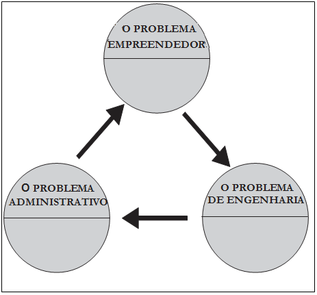 Essas estratégias genéricas representam a forma como a organização lida com seus três problemas básicos do ciclo adaptativo através da inter-relação entre estratégia, estrutura e processos.