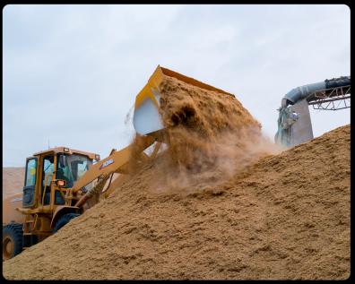 componente industrial, obtido através da combustão controlada da casca do arroz, em sistema de combustão via leito fluidizado.