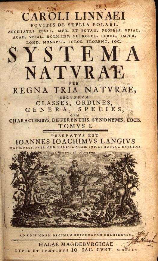 Breve Histórico da Taxonomia Publicado em 1735 Carolus Linnaeus