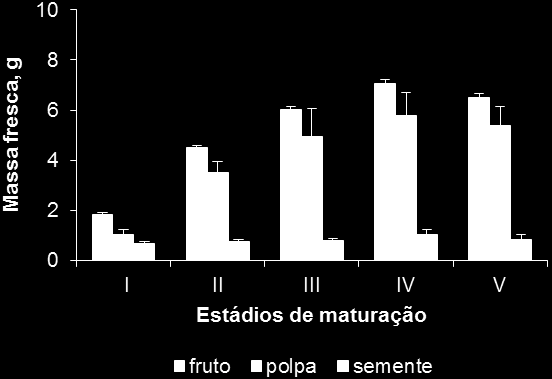 CCTA/UFCG, Pombal-PB, 2014 (Fruits of Zizyphus joazeiro Mart., Harvested at different maturity stages. CCTA / UFCG, Pombal-PB, 2014).. (A) (B) (C) (D) (E) Figura 2. Etapas de processamento do juá.