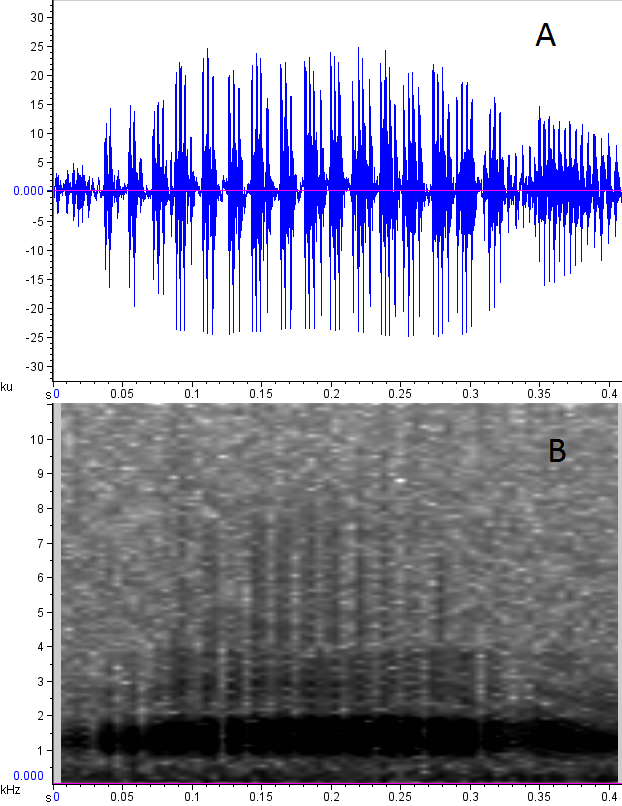 Distribution and conservation status of Physalaemus moreirae (amphibia, anura) in southeastern Brazil Table 1.