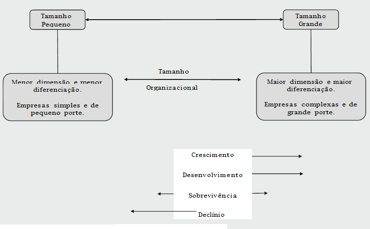 O tamanho organizacional