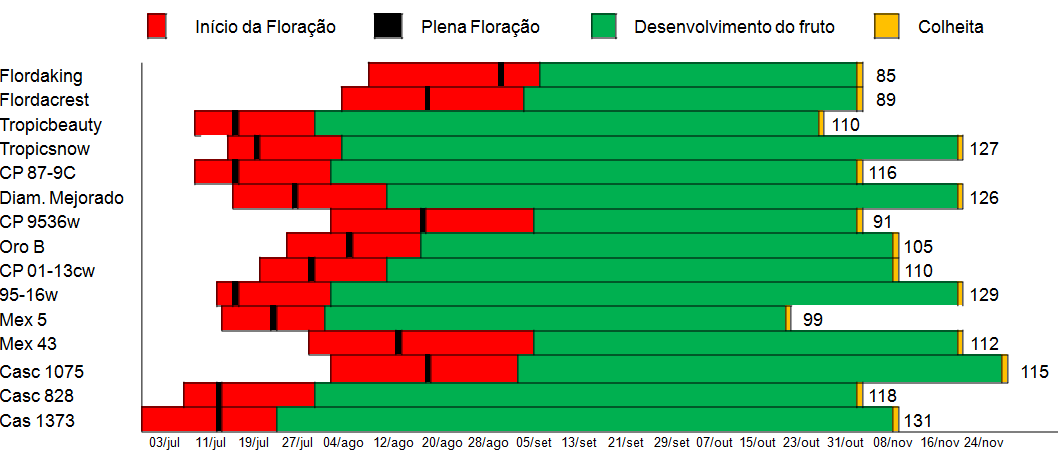 31 FIGURA 1. Principais estádios fenológicos e tamanho do período produtivo (dias), de pessegueiros, Eldorado do Sul, RS, 2012.