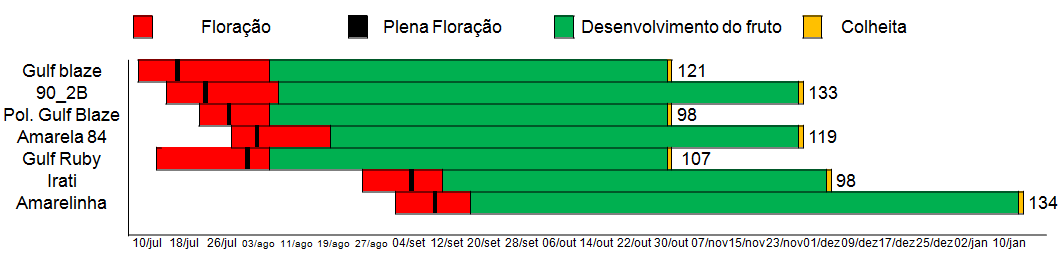 34 FIGURA 3. Principais estádios fenológicos e tamanho do período produtivo (dias) de ameixeiras, Eldorado do Sul, RS, 2012. FIGURA 4.