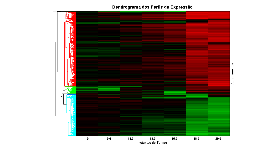 Resultados