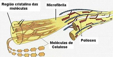 glucosídica.