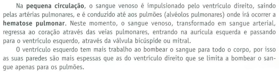 TEXTO B Fonte: Semedo, S. e S. Garret (2003) Ciências da Natureza, 6.º ano. Lisboa: Texto Editora. p.