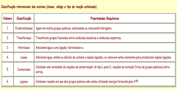 Classificação das Enzimas - UIBBM Classificação das Enzimas - UIBBM 5. Isomerases: Catalisam reações de interconversão entre isômeros ópticos ou geométricos. Ex. As Epimerases. 6.