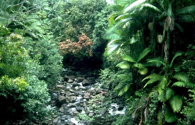 Problemática dos Commons Classe de recursos naturais onde a 1. exclusão de usuários é difícil 2.