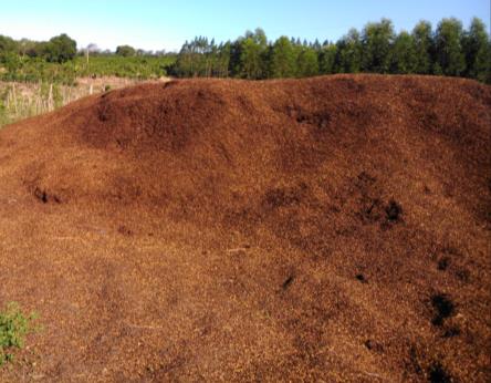 aproveitar resíduos oriundos das atividades agrícolas e florestais.