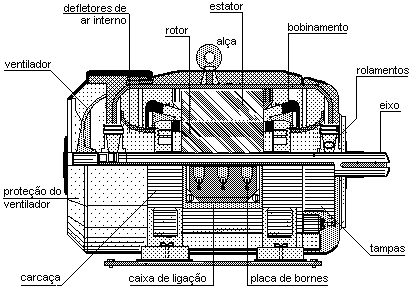 Figura 3 Motor de Indução.