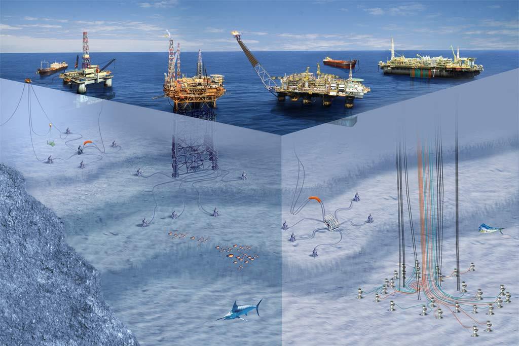A Petrobras tem cerca de 65% da área de seus blocos