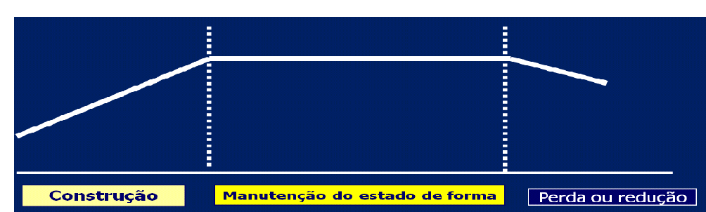 A periodização do treino está intimamente