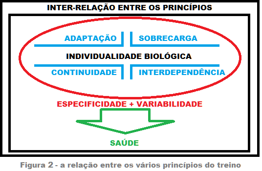 Princípios Metodológicos do Treino Cada jogador é um ser