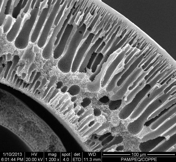 (a) Figura 35. Fotomicrografia da fibra-oca F1C3 com aumento de 1.200 vezes.