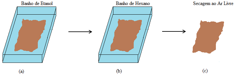 Figura 22. Troca de não-solventes (a) uma hora em etanol, (b) uma hora em n-hexano e (c) exposição ao ar ambiente por uma noite. 1.