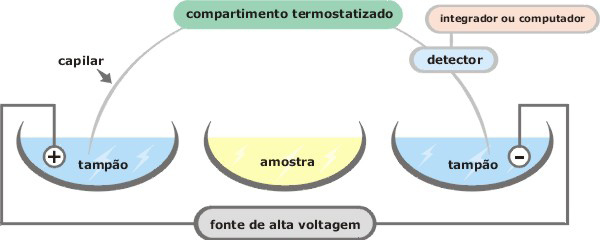 I n s t r u m e n t a ç ã o Geralmente o funcionamento de um equipamento de eletroforese capilar - EC (Figura 1), envolve a aplicação de alta voltagem, tipicamente 5 a 30 kv em um capilar de diâmetro