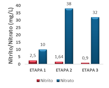 Figura 5 - Comportamento da concentração de nitrito e nitrato no efluente do FBP.
