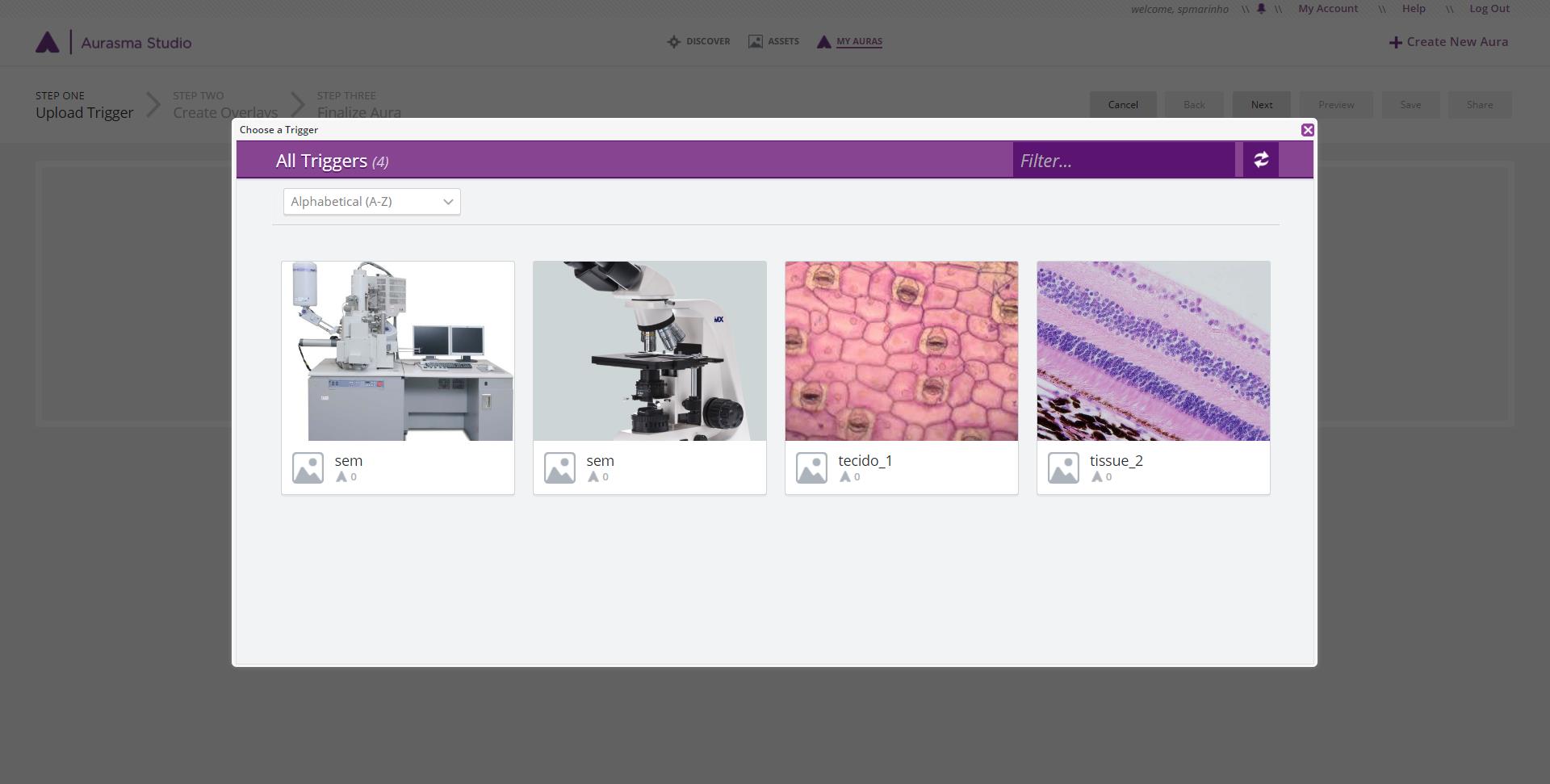 Se você clicou em em Clickto Select Existing, na tela seguinte o Aurasma Studio exibirá todas as imagens gatilho que