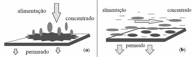 27 membrana e os solutos são retidos, acumulando-se próximo à superfície da membrana, onde ocorre a formação de uma torta. Figura 2.