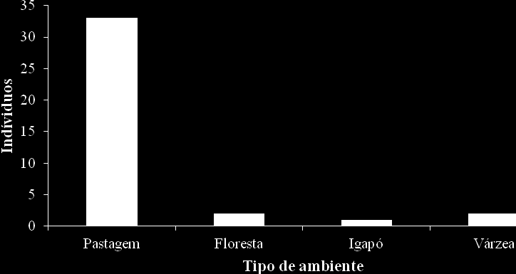 O tipo de vegetação e os ambientes aquáticos, presentes nas margens foram observados e relacionados com os atropelamentos, os ambientes observados nas margens da BR-429 são a pastagem (ocupando a