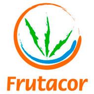 Fonte: Valor Econômico (2010) Mapeamento cliente: CE-RN-BA-PE-MT-PI-SP POTENCIAL BANANA Brasil : 520K ha cultivados = 832MM plantas cultivadas. 83.2MM mudas demandadas (10%)/ano no mínimo (replantio e expansão).